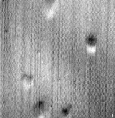 Figure 5. Indentations on raceway by hard particles